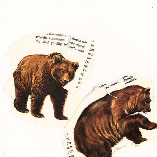 shumbadesign by Antonia Weishaupt