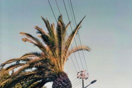 shumbadesign by Antonia Weishaupt