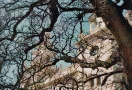 shumbadesign by Antonia Weishaupt