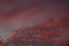 shumbadesign by Antonia Weishaupt