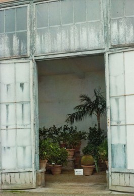 shumbadesign by Antonia Weishaupt