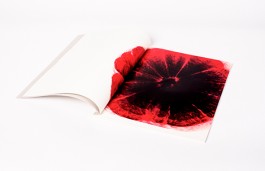 shumbadesign by Antonia Weishaupt