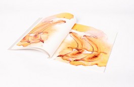 shumbadesign by Antonia Weishaupt