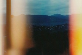 shumbadesign by Antonia Weishaupt