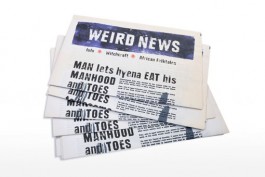 shumbadesign by Antonia Weishaupt