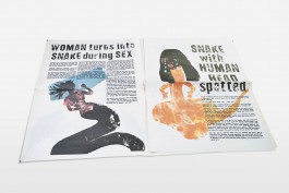 shumbadesign by Antonia Weishaupt