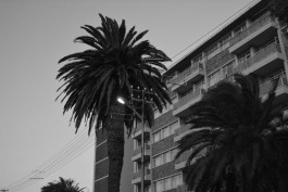 shumbadesign by Antonia Weishaupt