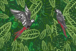 shumbadesign by Antonia Weishaupt