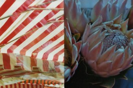 shumbadesign by Antonia Weishaupt