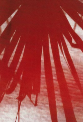 shumbadesign by Antonia Weishaupt