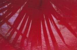 shumbadesign by Antonia Weishaupt