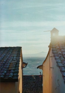 shumbadesign by Antonia Weishaupt