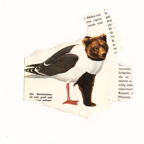 shumbadesign by Antonia Weishaupt