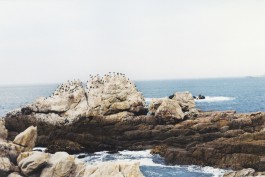 shumbadesign by Antonia Weishaupt