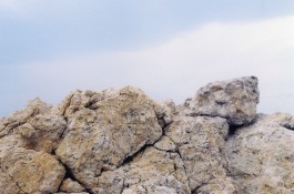 shumbadesign by Antonia Weishaupt