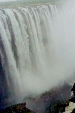 shumbadesign by Antonia Weishaupt