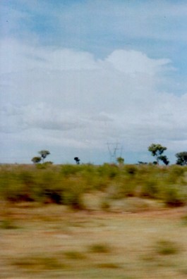 shumbadesign by Antonia Weishaupt