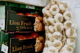 shumbadesign by Antonia Weishaupt