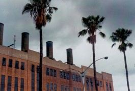 shumbadesign by Antonia Weishaupt