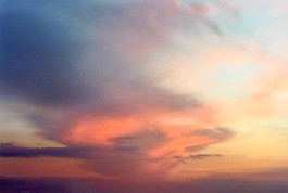 shumbadesign by Antonia Weishaupt